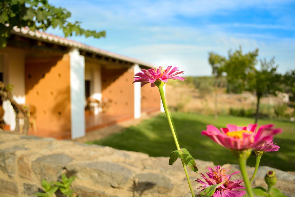 Melrinitas Turismo Rural Hotel Serpa Exterior foto